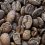 TOPSHOT - Roasted coffee beans are seen in a coffee shop in Buenos Aires, on July 19, 2022. - Argentina does not produce coffee, it imports it, but the coffee shops in Buenos Aires are an institution that identifies the city and there is even a list of 